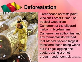 Deforestation Greenpeace activists paint 'Ancient-Forest-Crime ' on tropical wood from Cameroon at the Midgard harbor in Nordenham. Cameroonian authorities and environmentalists warned that Africa's second largest forestland faces being wiped out if illegal logging and quota-busting are not brought under control.  (AFP/DPA/File) 