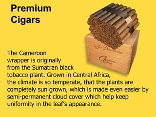 Premium Cigars The Cameroon  wrapper is originally  from the Sumatran black  tobacco plant. Grown in Central Africa,  the climate is so temperate, that the plants are completely sun grown, which is made even easier by semi-permanent cloud cover which help keep uniformity in the leaf’s appearance.       