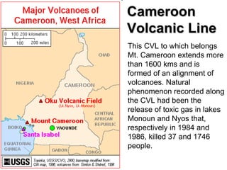 Cameroon Volcanic Line This CVL to which belongs Mt. Cameroon extends more than 1600 kms and is formed of an alignment of volcanoes. Natural phenomenon recorded along the CVL had been the release of toxic gas in lakes Monoun and Nyos that, respectively in 1984 and 1986, killed 37 and 1746 people. 