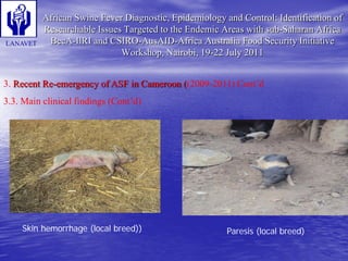 Status and Impact of ASF in Cameroon