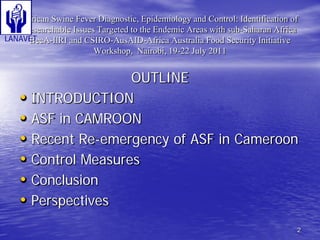 Status and Impact of ASF in Cameroon