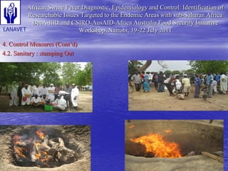 Status and Impact of ASF in Cameroon