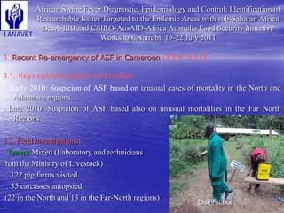 Status and Impact of ASF in Cameroon