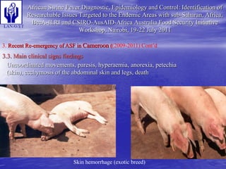 Status and Impact of ASF in Cameroon