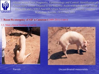 Status and Impact of ASF in Cameroon