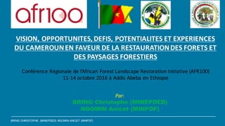 BRING CHRISTOPHE (MINEPDED) NGOMIN ANICET (MINFOF)
VISION,	OPPORTUNITES,	DEFIS,	POTENTIALITES	ET	EXPERIENCES	
DU	CAMEROUN	EN	FAVEUR	DE	LA	RESTAURATION	DES	FORETS	ET	
DES	PAYSAGES	FORESTIERS	
Conférence	Régionale	de	l’African Forest	Landscape Restoration Initiative	(AFR100)		
11-14	octobre	2016	à	Addis Abeba en	Ethiopie
Par:
BRING Christophe (MINEPDED)
NGOMIN Anicet (MINFOF)
 