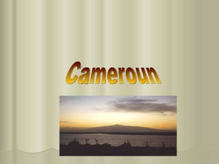 Cameroun 