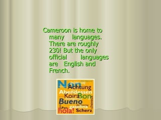 Cameroon is home to many  languages. There are roughly 230! But the only official  languages are  English and French. 