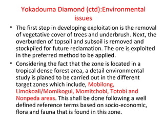 Yokadouma Diamond (ctd):Environmental
issues
• The first step in developing exploitation is the removal
of vegetative cover of trees and underbrush. Next, the
overburden of topsoil and subsoil is removed and
stockpiled for future reclamation. The ore is exploited
in the preferred method to be applied.
• Considering the fact that the zone is located in a
tropical dense forest area, a detail environmental
study is planed to be carried out in the different
target zones which include, Mobilong,
Limokoali/Momikogui, Momitchobi, Totobi and
Nonpeda areas. This shall be done following a well
defined reference terms based on socio-economic,
flora and fauna that is found in this zone.
 