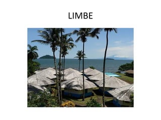 LIMBE
 