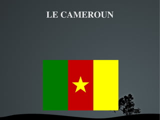 LE CAMEROUN 