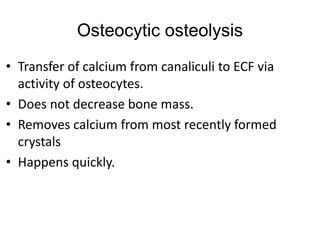 Osteocytic osteolysis
• Transfer of calcium from canaliculi to ECF via
activity of osteocytes.
• Does not decrease bone mass.
• Removes calcium from most recently formed
crystals
• Happens quickly.
 