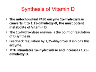 • The mitochondrial P450 enzyme 1a-hydroxylase
converts it to 1,25-dihydroxy-D, the most potent
metabolite of Vitamin D.
• The 1a-hydroxylase enzyme is the point of regulation
of D synthesis.
• Feedback regulation by 1,25-dihydroxy D inhibits this
enzyme.
• PTH stimulates 1a-hydroxylase and increases 1,25-
dihydroxy D.
Synthesis of Vitamin D
 