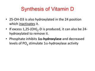 • 25-OH-D3 is also hydroxylated in the 24 position
which inactivates it.
• If excess 1,25-(OH)2-D is produced, it can also be 24-
hydroxylated to remove it.
• Phosphate inhibits 1a-hydroxylase and decreased
levels of PO4 stimulate 1a-hydroxylase activity
Synthesis of Vitamin D
 