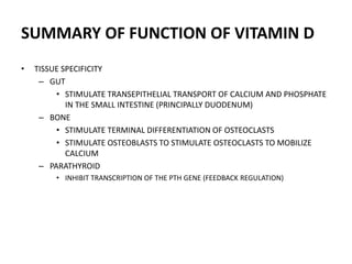 SUMMARY OF FUNCTION OF VITAMIN D
• TISSUE SPECIFICITY
– GUT
• STIMULATE TRANSEPITHELIAL TRANSPORT OF CALCIUM AND PHOSPHATE
IN THE SMALL INTESTINE (PRINCIPALLY DUODENUM)
– BONE
• STIMULATE TERMINAL DIFFERENTIATION OF OSTEOCLASTS
• STIMULATE OSTEOBLASTS TO STIMULATE OSTEOCLASTS TO MOBILIZE
CALCIUM
– PARATHYROID
• INHIBIT TRANSCRIPTION OF THE PTH GENE (FEEDBACK REGULATION)
 