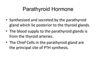 Parathyroid Hormone
• Synthesized and secreted by the parathyroid
gland which lie posterior to the thyroid glands.
• The blood supply to the parathyroid glands is
from the thyroid arteries.
• The Chief Cells in the parathyroid gland are
the principal site of PTH synthesis.
 