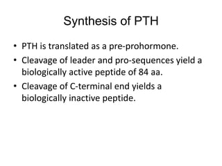 Synthesis of PTH
• PTH is translated as a pre-prohormone.
• Cleavage of leader and pro-sequences yield a
biologically active peptide of 84 aa.
• Cleavage of C-terminal end yields a
biologically inactive peptide.
 