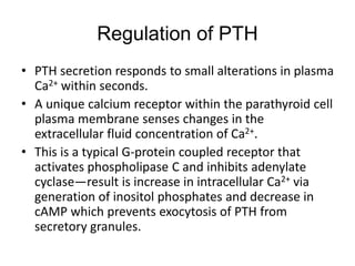 • PTH secretion responds to small alterations in plasma
Ca2+ within seconds.
• A unique calcium receptor within the parathyroid cell
plasma membrane senses changes in the
extracellular fluid concentration of Ca2+.
• This is a typical G-protein coupled receptor that
activates phospholipase C and inhibits adenylate
cyclase—result is increase in intracellular Ca2+ via
generation of inositol phosphates and decrease in
cAMP which prevents exocytosis of PTH from
secretory granules.
Regulation of PTH
 
