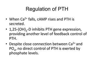 • When Ca2+ falls, cAMP rises and PTH is
secreted.
• 1,25-(OH)2-D inhibits PTH gene expression,
providing another level of feedback control of
PTH.
• Despite close connection between Ca2+ and
PO4, no direct control of PTH is exerted by
phosphate levels.
Regulation of PTH
 