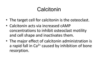 • The target cell for calcitonin is the osteoclast.
• Calcitonin acts via increased cAMP
concentrations to inhibit osteoclast motility
and cell shape and inactivates them.
• The major effect of calcitonin administration is
a rapid fall in Ca2+ caused by inhibition of bone
resorption.
Calcitonin
 