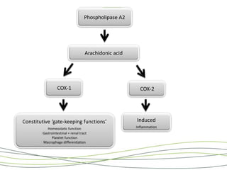 Arachidonic acid 
COX-1 
Constitutive ‘gate-keeping functions’ 
Homeostatic function 
Gastrointestinal + renal tract 
Platelet function 
Macrophage differentiation 
COX-2 
Induced 
Inflammation 
Phospholipase A2 
 