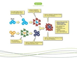 Managing Chronic Inflammation