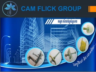 CAM FLICK GROUP
 