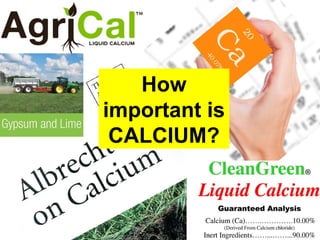 How
important is
CALCIUM?
 