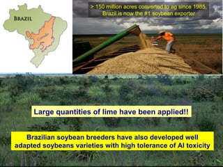 The highly weathered soils of Brazil’s
Cerrado region naturally had such low
Ca levels that cattle ranchers lost cattle
due to brittle Ca deficient bones and
large scale crop production was
considered impossible.
> 150 million acres converted to ag since 1985,
Brazil is now the #1 soybean exporter
Large quantities of lime have been applied!!
Brazilian soybean breeders have also developed well
adapted soybeans varieties with high tolerance of Al toxicity
 