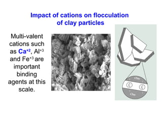 Multi-valent
cations such
as Ca+2
, Al+3
and Fe+3
are
important
binding
agents at this
scale.
Impact of cations on flocculation
of clay particles
 