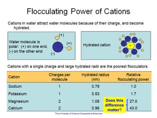 ag.arizona.edu/pubs/crops/az1414.ppt
Does this
difference
matter?
 