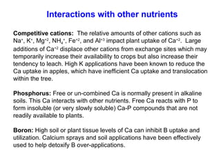 Interactions with other nutrients
Competitive cations: The relative amounts of other cations such as
Na+
, K+
, Mg+2
, NH4
+
, Fe+2
, and Al+3
impact plant uptake of Ca+2
. Large
additions of Ca+2
displace other cations from exchange sites which may
temporarily increase their availability to crops but also increase their
tendency to leach. High K applications have been known to reduce the
Ca uptake in apples, which have inefficient Ca uptake and translocation
within the tree.
Phosphorus: Free or un-combined Ca is normally present in alkaline
soils. This Ca interacts with other nutrients. Free Ca reacts with P to
form insoluble (or very slowly soluble) Ca-P compounds that are not
readily available to plants.
Boron: High soil or plant tissue levels of Ca can inhibit B uptake and
utilization. Calcium sprays and soil applications have been effectively
used to help detoxify B over-applications.
 