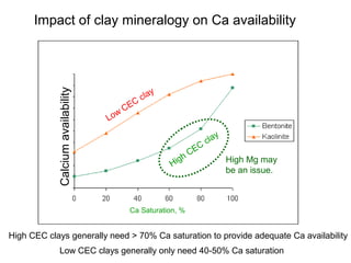 Impact of clay mineralogy on Ca availability
Ca Saturation, %
High CEC
clay
Low
CEC
clay
High CEC clays generally need > 70% Ca saturation to provide adequate Ca availability
Low CEC clays generally only need 40-50% Ca saturation
Calciumavailability
High Mg may
be an issue.
 