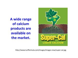 http://www.turfformula.com/images/images-new/super-cal.jpg
A wide range
of calcium
products are
available on
the market.
 