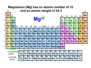 Magnesium (Mg) has an atomic number of 12
and an atomic weight of 24.3
Mg+2
 