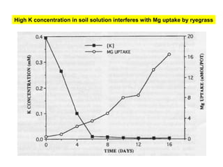 High K concentration in soil solution interferes with Mg uptake by ryegrass
 