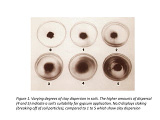 Figure 1. Varying degrees of clay dispersion in soils. The higher amounts of dispersal
(4 and 5) indicate a soil's suitability for gypsum application. No.0 displays slaking
(breaking off of soil particles), compared to 1 to 5 which show clay dispersion
 
