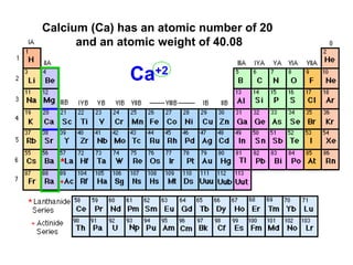 Calcium (Ca) has an atomic number of 20
and an atomic weight of 40.08
Ca+2
 
