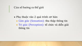 Cảm giác và tri giác và chú ý .pdf
