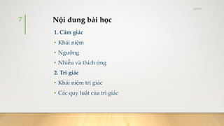 Cảm giác và tri giác và chú ý .pdf