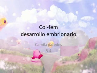 Col-fem
desarrollo embrionario
Camila paredes
8-4
 