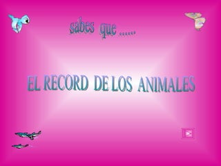 sabes  que ...... EL RECORD  DE LOS  ANIMALES 