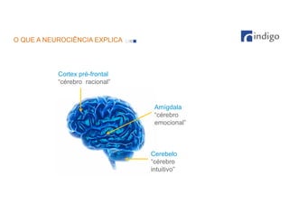 O QUE A NEUROCIÊNCIA EXPLICA

Cortex pré-frontal
“cérebro racional”

Amígdala
“cérebro
emocional”

Cerebelo
“cérebro
intuitivo”

 