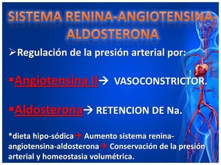 Regulación de la presión arterial por:

Angiotensina II VASOCONSTRICTOR.

Aldosterona RETENCION DE Na.
*dieta hipo-sódica Aumento sistema renina-
angiotensina-aldosterona Conservación de la presión
arterial y homeostasia volumétrica.
 