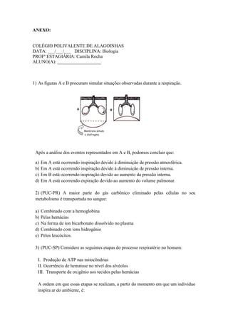 ANEXO:


COLÉGIO POLIVALENTE DE ALAGOINHAS
DATA: ___/___/___ DISCIPLINA: Biologia
PROFª ESTAGIÁRIA: Camila Rocha
ALUNO(A): ___________________



1) As figuras A e B procuram simular situações observadas durante a respiração.




 Após a análise dos eventos representados em A e B, podemos concluir que:

 a)   Em A está ocorrendo inspiração devido à diminuição de pressão atmosférica.
 b)   Em A está ocorrendo inspiração devido à diminuição de pressão interna.
 c)   Em B está ocorrendo inspiração devido ao aumento da pressão interna.
 d)   Em A está ocorrendo expiração devido ao aumento do volume pulmonar.

 2) (PUC-PR) A maior parte do gás carbônico eliminado pelas células no seu
 metabolismo é transportada no sangue:

 a)   Combinado com a hemoglobina
 b)   Pelas hemácias
 c)   Na forma de íon bicarbonato dissolvido no plasma
 d)   Combinado com íons hidrogênio
 e)   Pelos leucócitos.

 3) (PUC-SP) Considere as seguintes etapas do processo respiratório no homem:

  I. Produção de ATP nas mitocôndrias
  II. Ocorrência de hematose no nível dos alvéolos
  III. Transporte de oxigênio aos tecidos pelas hemácias

  A ordem em que essas etapas se realizam, a partir do momento em que um indivíduo
  inspira ar do ambiente, é:
 