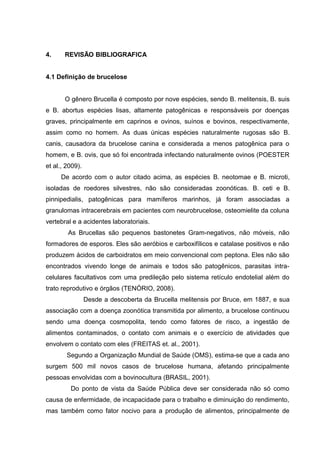4. REVISÃO BIBLIOGRAFICA
4.1 Definição de brucelose
O gênero Brucella é composto por nove espécies, sendo B. melitensis, B. suis
e B. abortus espécies lisas, altamente patogênicas e responsáveis por doenças
graves, principalmente em caprinos e ovinos, suínos e bovinos, respectivamente,
assim como no homem. As duas únicas espécies naturalmente rugosas são B.
canis, causadora da brucelose canina e considerada a menos patogênica para o
homem, e B. ovis, que só foi encontrada infectando naturalmente ovinos (POESTER
et al., 2009).
De acordo com o autor citado acima, as espécies B. neotomae e B. microti,
isoladas de roedores silvestres, não são consideradas zoonóticas. B. ceti e B.
pinnipedialis, patogênicas para mamíferos marinhos, já foram associadas a
granulomas intracerebrais em pacientes com neurobrucelose, osteomielite da coluna
vertebral e a acidentes laboratoriais.
As Brucellas são pequenos bastonetes Gram-negativos, não móveis, não
formadores de esporos. Eles são aeróbios e carboxifílicos e catalase positivos e não
produzem ácidos de carboidratos em meio convencional com peptona. Eles não são
encontrados vivendo longe de animais e todos são patogênicos, parasitas intra-
celulares facultativos com uma predileção pelo sistema retículo endotelial além do
trato reprodutivo e órgãos (TENÓRIO, 2008).
Desde a descoberta da Brucella melitensis por Bruce, em 1887, e sua
associação com a doença zoonótica transmitida por alimento, a brucelose continuou
sendo uma doença cosmopolita, tendo como fatores de risco, a ingestão de
alimentos contaminados, o contato com animais e o exercício de atividades que
envolvem o contato com eles (FREITAS et. al., 2001).
Segundo a Organização Mundial de Saúde (OMS), estima-se que a cada ano
surgem 500 mil novos casos de brucelose humana, afetando principalmente
pessoas envolvidas com a bovinocultura (BRASIL, 2001).
Do ponto de vista da Saúde Pública deve ser considerada não só como
causa de enfermidade, de incapacidade para o trabalho e diminuição do rendimento,
mas também como fator nocivo para a produção de alimentos, principalmente de
 