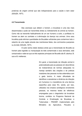 proteínas de origem animal que são indispensáveis para a saúde e bem estar
(SOUZA, 1977).
4.2 Transmissão
Das zoonoses que afetam o homem, a brucelose é uma das mais
disseminadas e pode ser transmitida direta ou indiretamente do animal ao homem.
Como não se transmite habitualmente de um ser humano a outro, a profilaxia no
homem se atem ao combate e à eliminação da doença nos animais. Uma vaca
brucélica pode eliminar quantidades de Brucellas suficientes para contaminar todo o
rebanho de uma região através das membranas fetais, dos corrimentos puerperais
ou do leite (SOUZA, 1977).
O autor acima citado destaca ainda que a transmissão de Brucella ao
homem pela ingestão ou manipulação do leite contaminado e seus derivados, está
comprovada e sabe-se que as três espécies principais de Brucella são B. abortus; B.
suis e B. melitensis.
Em geral, a transmissão da infecção animal é
potencializada para as pessoas em decorrência
da inobservância de normas adequadas no
manejo sanitário das criações e de práticas
insalubres das pessoas na lida sistemática com
o gado bovino. A maior dificuldade de
identificar e caracterizar a dinâmica da infecção
em humanos é a inexistência de uma técnica
específica para esse fim, sendo, por isso,
utilizados nos ensaios sorológicos envolvendo
pessoas, os mesmos testes de referência
empregados para o diagnóstico da brucelose
bovina, contidos no Programa Nacional de
Controle e Erradicação da Brucelose e
Tuberculose - PNCEBT, implementado pelo
Ministério da Agricultura, Pecuária e
 