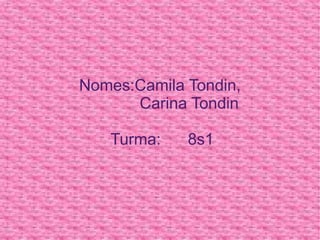 Nomes:Camila Tondin, Carina Tondin     Turma:  8s1 