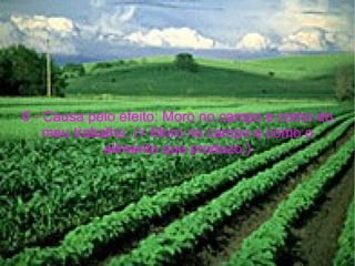 6 - Causa pelo efeito: Moro no campo e como do meu trabalho. (= Moro no campo e como o alimento que produzo.) 