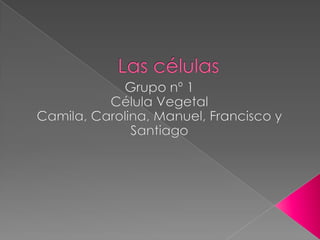Las células Grupo nº 1 Célula Vegetal  Camila, Carolina, Manuel, Francisco y Santiago 